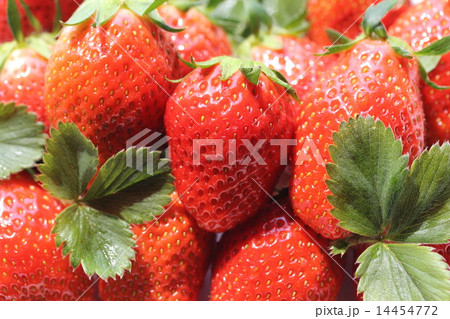 群馬県産やよいひめ 14454772