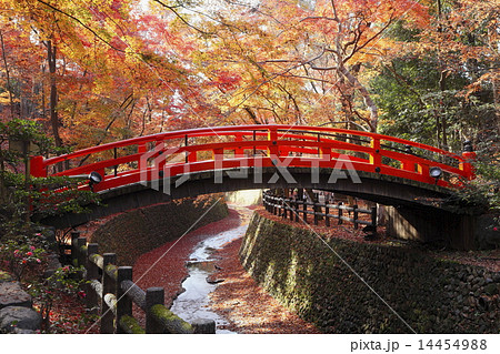 11月秋 北野天満宮のもみじ苑 京都の秋景色の写真素材