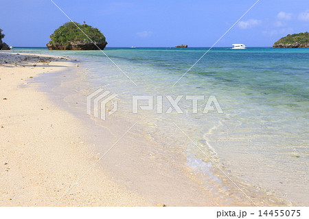 石垣島　川平湾の青い海 14455075