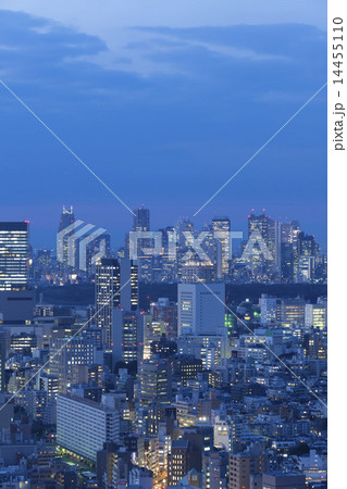 東京都市風景　渋谷と新宿高層ビル群を望む　トワイライト 14455110