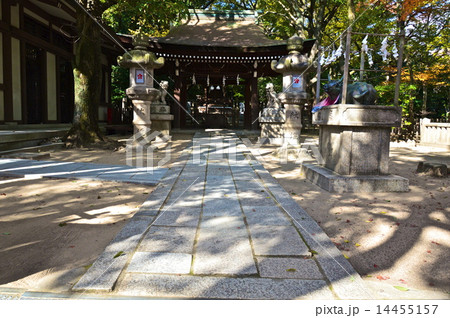 菊水天満神社(湊川神社 境内/兵庫県神戸市中央区多聞通) 菊水天満神社(湊川神社 境内/兵庫県神戸市中央区多聞通) 14455157
