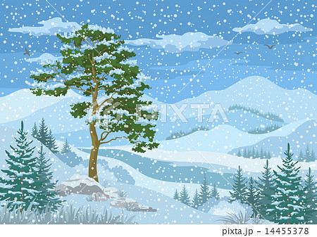 Mountain Winter Landscape 14455378