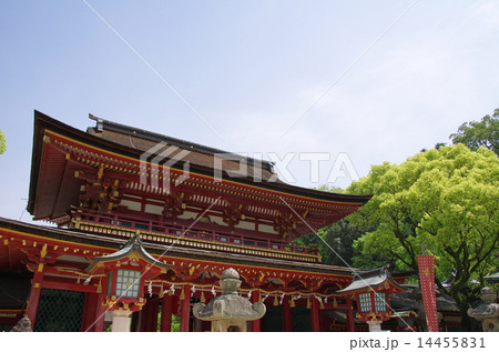太宰府天満宮 楼門 太宰府天満宮 楼門 14455831
