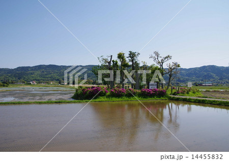主基斎田址公園（鴨川市） 14455832