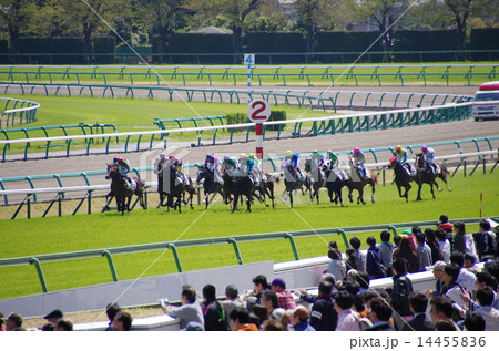 競馬 競馬 14455836
