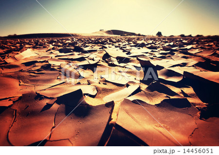 Drought land 14456051