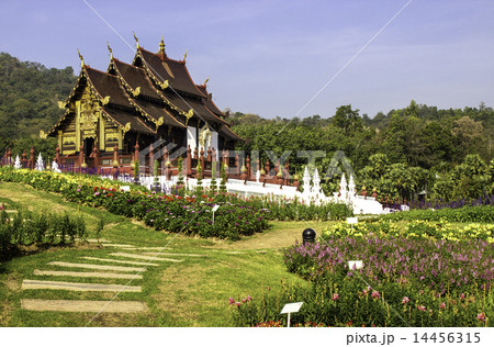 Temple Thailand Temple Thailand 14456315