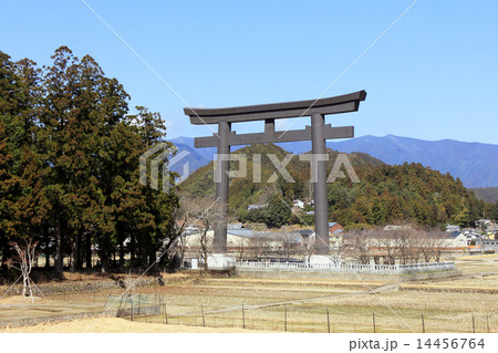 大斎原(おおゆのはら)の大鳥居 大斎原(おおゆのはら)の大鳥居 14456764