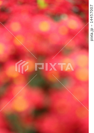 abstract blur background 14457007