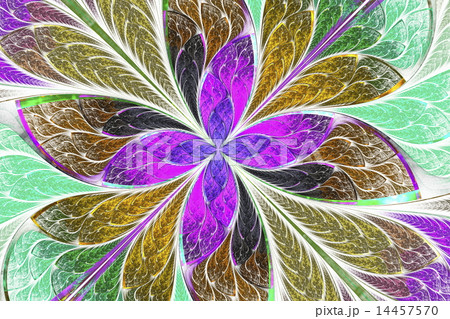 Multicolored fractal flower or butterfly  14457570