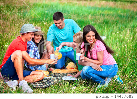 Group people on picnic. 14457685