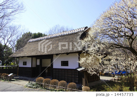 府中郷土の森公園 府中郷土の森公園 14457735