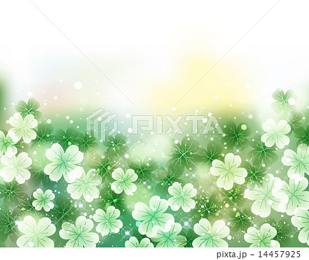 クローバー 背景のイラスト素材