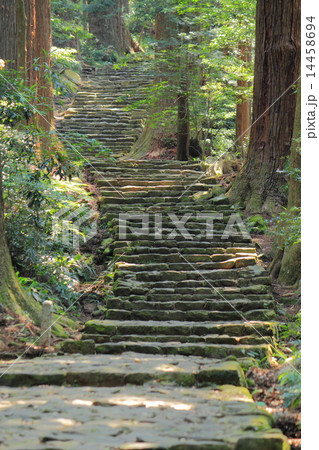 熊野古道　大門坂 14458694