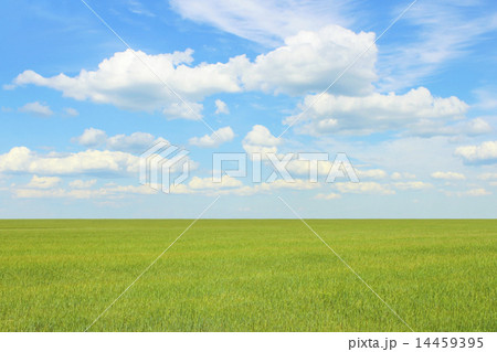 Boundless field 14459395