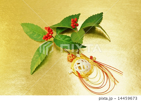 年賀背景素材・センリョウに水引きの亀・金和紙バック横位置・ハガキ対応比 14459673