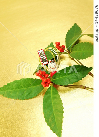 年賀背景素材・センリョウに犬張子・金和紙バック縦位置・ハガキ対応比 年賀背景素材・センリョウに犬張子・金和紙バック縦位置・ハガキ対応比 14459676