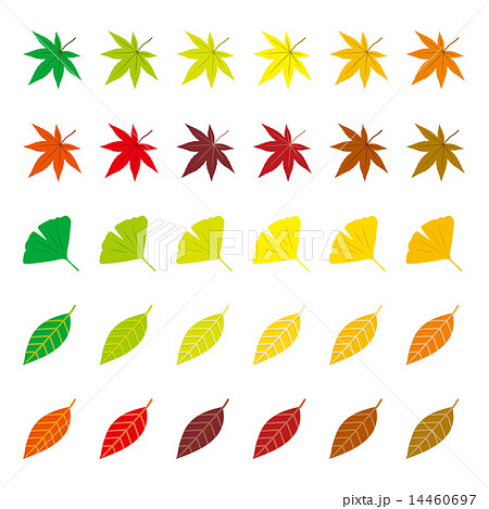 色とりどりの紅葉とイチョウの葉のイラスト素材