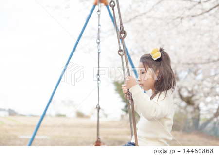 cherry blossom 14460868