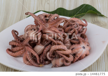 Boiled octopus Boiled octopus 14461775