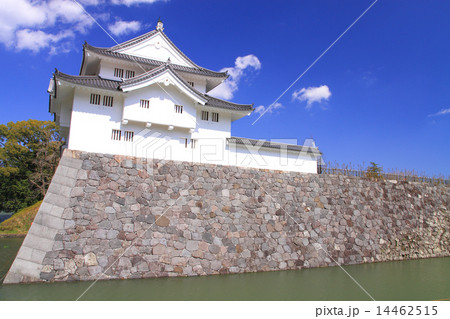 3月静岡 駿府城の新たに復元された坤櫓 14462515