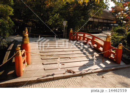 上賀茂神社の「玉橋」（京都市北区上賀茂本山） 14462559