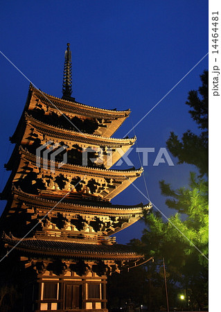1月奈良 興福寺 五重塔ライトアップの写真素材