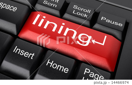 lining word on red keyboard button lining word on red keyboard button 14466974