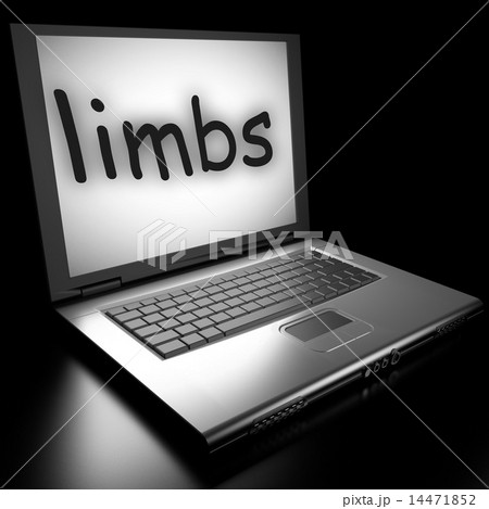 Word on laptop 14471852