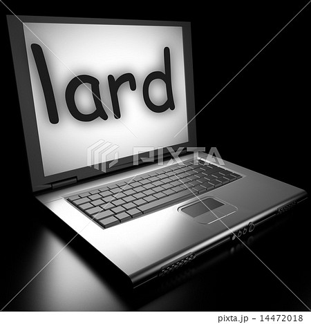Word on laptop Word on laptop 14472018