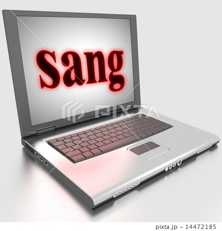 sang word on laptop sang word on laptop 14472185