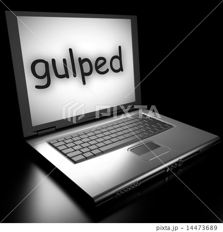 Word on laptop Word on laptop 14473689