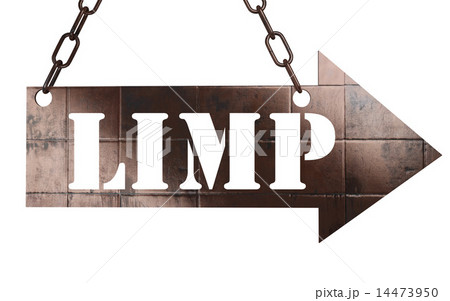 limp word on metal pointer 14473950
