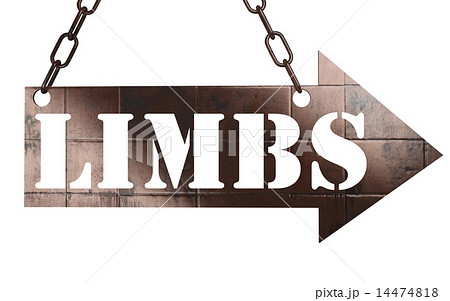 limbs word on metal pointer 14474818