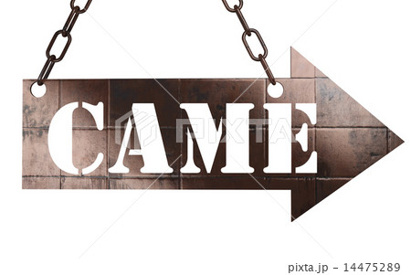 came word on metal pointer 14475289