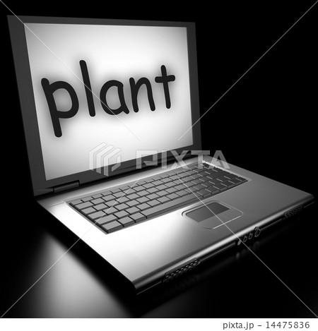 Word on laptop 14475836