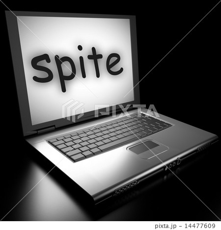 Word on laptop 14477609