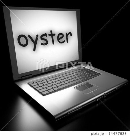 Word on laptop 14477623