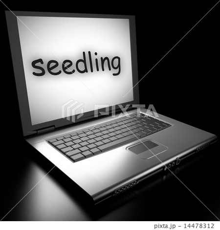 Word on laptop Word on laptop 14478312