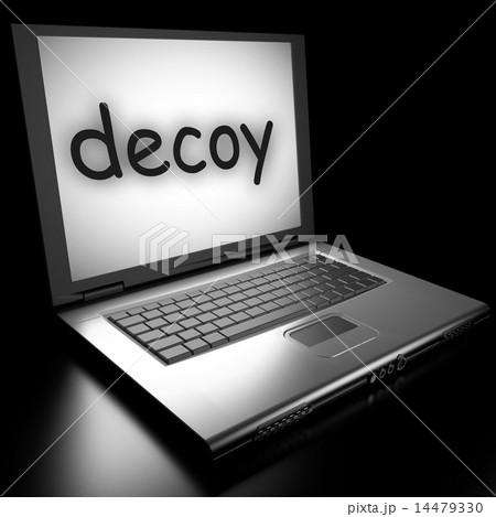 decoy word on laptop decoy word on laptop 14479330