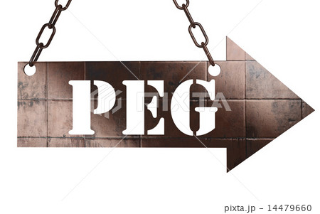 peg word on metal pointer 14479660