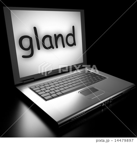 gland word on laptop gland word on laptop 14479897