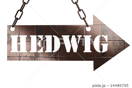 Hedwig word on metal pointer 14480795