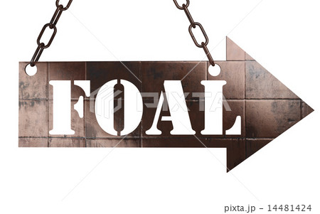 foal word on metal pointer 14481424
