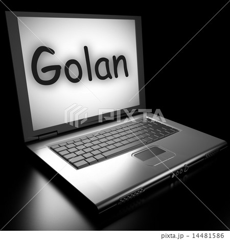Golan word on laptop 14481586