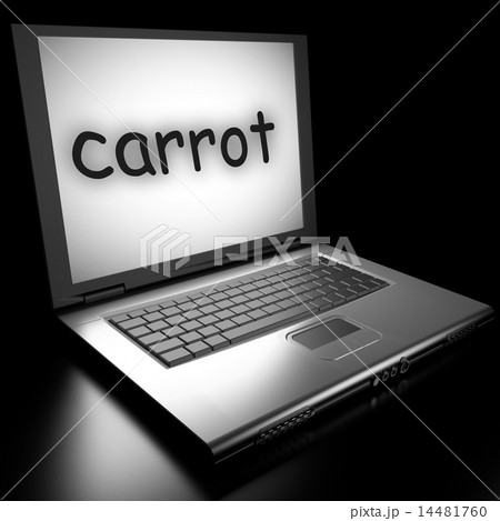 carrot word on laptop 14481760