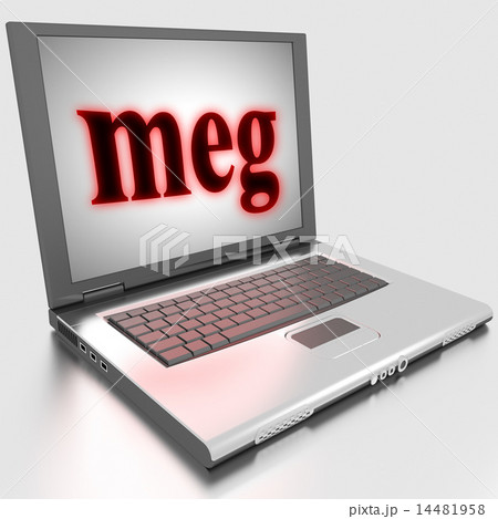 meg word on laptop meg word on laptop 14481958