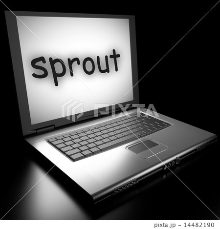 Word on laptop 14482190