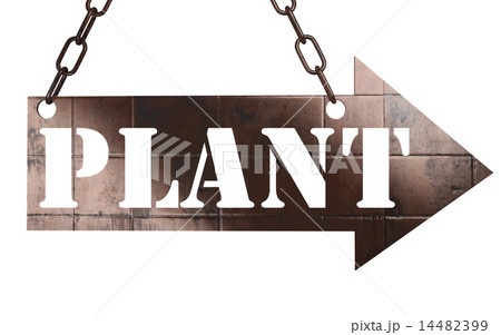 plant word on metal pointer 14482399