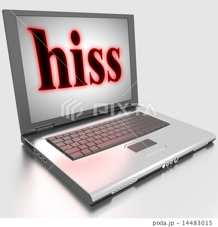 hiss word on laptop 14483015